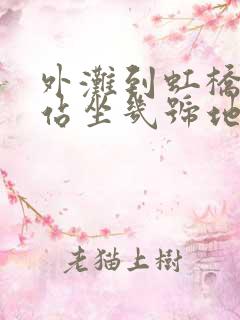 外滩到虹桥高铁站坐几号地铁