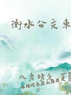 衡水公交车时间