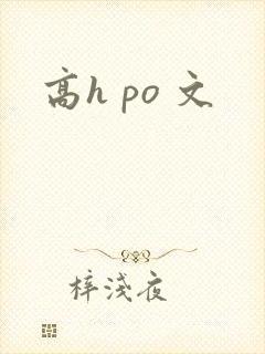 高h po 文