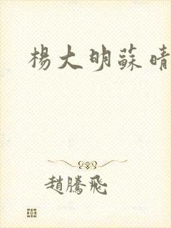 杨大明苏晴杨彬