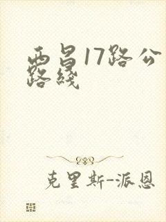 西昌17路公交路线