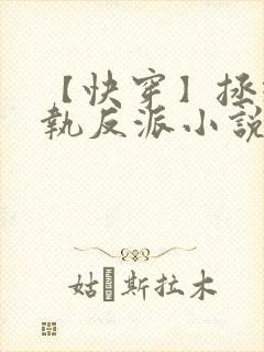 【快穿】拯救偏执反派小说免费阅读