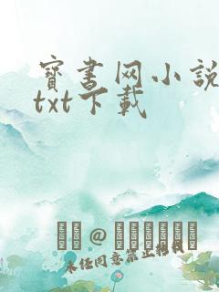 宝书网小说免费txt下载