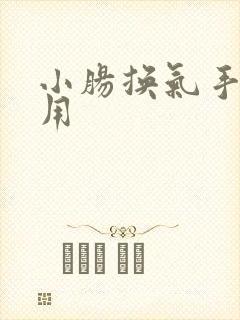 小肠换气手术费用