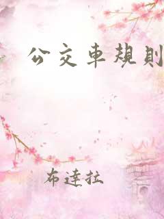 公交车规则 公交车规则