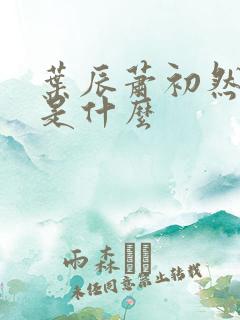叶辰萧初然结局是什么