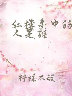 红楼梦中的王夫人是谁