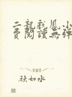 二龙戏凤小说免费阅读无弹窗全文