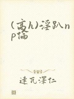 (高h)淫趴np伦