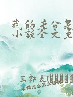 我的老公是大佬小说全文免费阅读