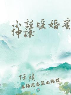 小说暖婚蜜爱顾仲谦