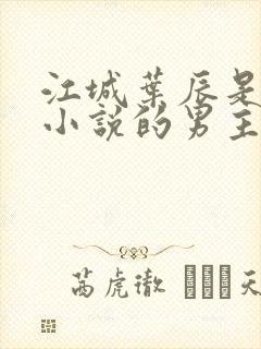 江城叶辰是哪部小说的男主角