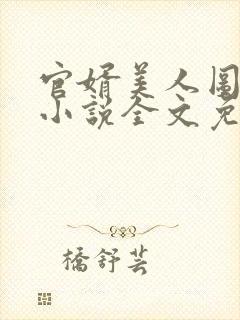 官婿美人图安江小说全文免费阅读 官婿美人图安江小说全文免费阅读