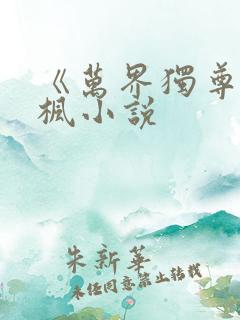 《万界独尊》林枫小说