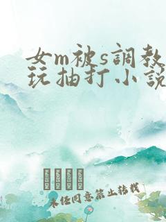 女m被s调教虐玩抽打小说