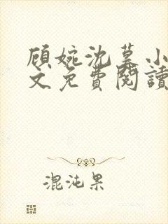 顾婉沈暮小说全文免费阅读无弹窗