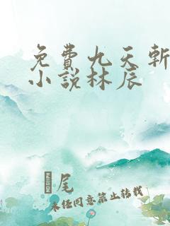 免费九天斩神诀小说林辰 免费九天斩神诀小说林辰