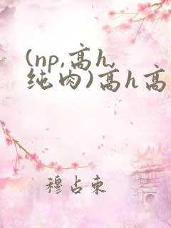 (np,高h,纯肉)高h高辣h
