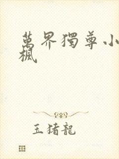 万界独尊小说林枫