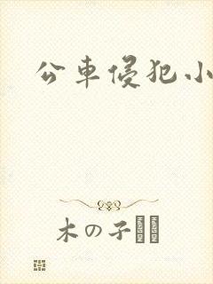 公车侵犯小说 公车侵犯小说