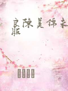 良陈美锦未删减版