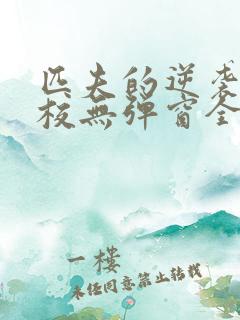 匹夫的逆袭骁骑校无弹窗全文免费阅读 匹夫的逆袭骁骑校无弹窗全文免费阅读