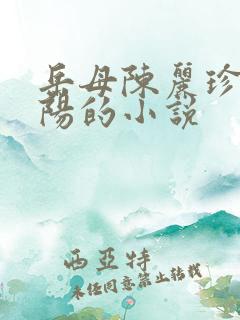 岳母陈丽珍和宋阳的小说