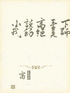 小说高手下山:我的绝美师姐