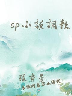 sp小说调教