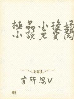 极品小后妈言情小说免费阅读