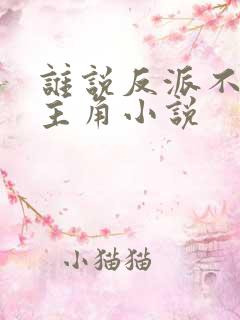 谁说反派不能当主角小说