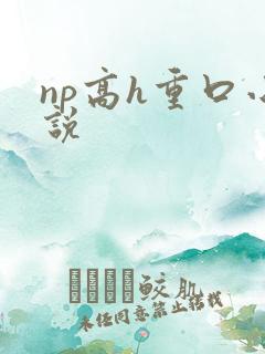 np高h重口小说