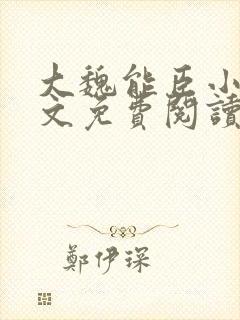 大魏能臣小说全文免费阅读