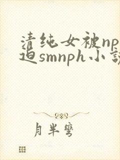 清纯女被np强迫smnph小说