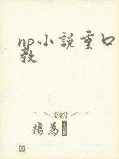 np小说重口调教