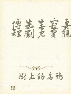 傅先生宠妻无度短剧免费观看 傅先生宠妻无度短剧免费观看