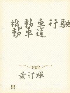 机动车行驶非机动车道