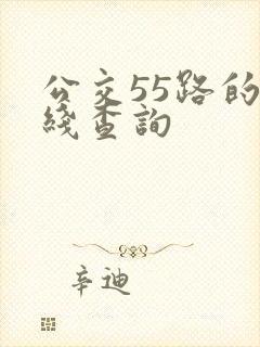 公交55路的路线查询