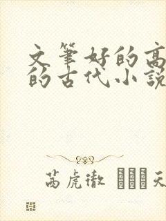 文笔好的高质量的古代小说言情