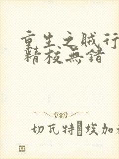 重生之贼行天下 精校无错