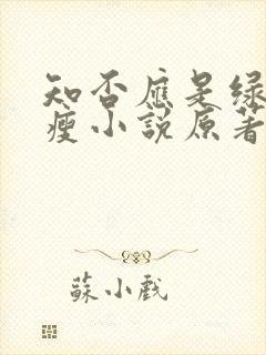 知否应是绿肥红瘦小说原著 知否应是绿肥红瘦小说原著