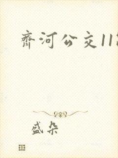 齐河公交11路