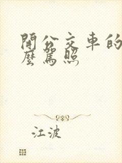 开公交车的是什么驾照