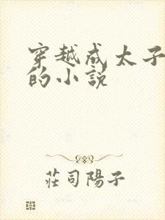 穿越成太子王安的小说
