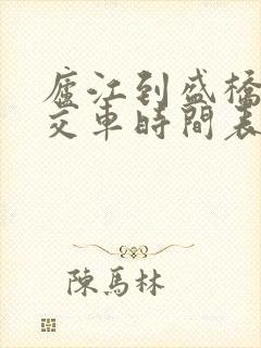 庐江到盛桥的公交车时间表