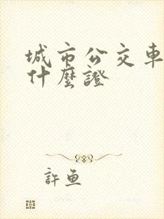 城市公交车需要什么证