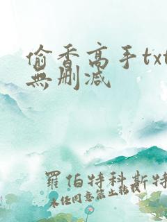 偷香高手txt无删减