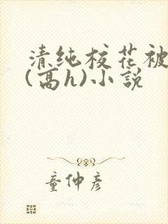 清纯校花被调教(高h)小说