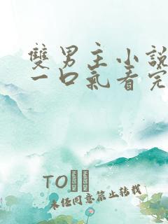 双男主小说虐文一口气看完 双男主小说虐文一口气看完