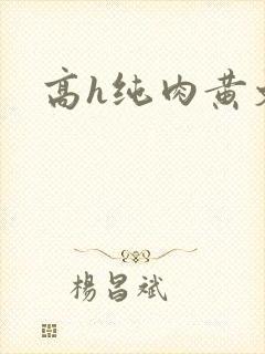 高h纯肉黄文